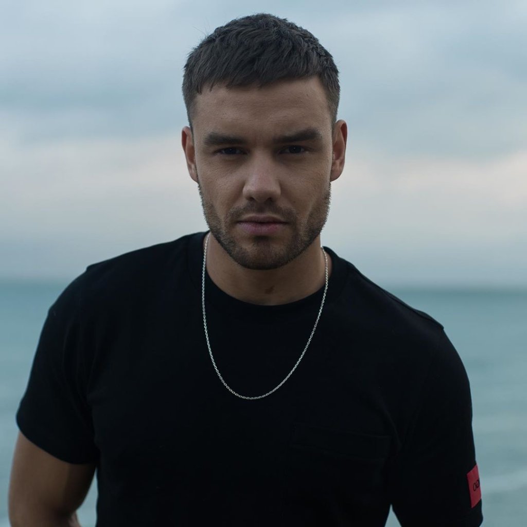 Liam Payne é criticado após lançar música polêmica sobre bissexualidade