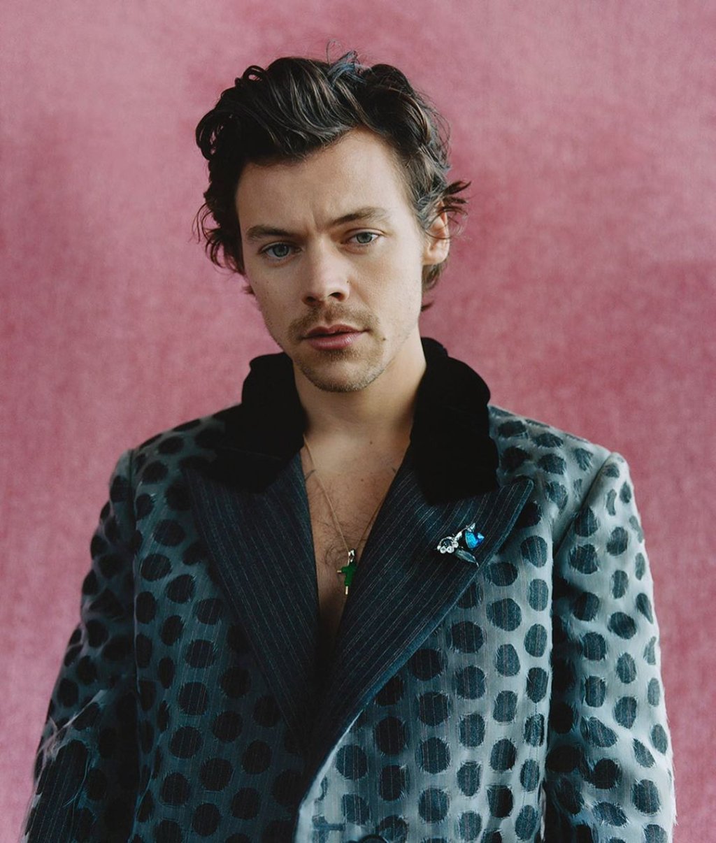 Harry Styles posou de vestido em sessão de fotos – e os fãs piraram!