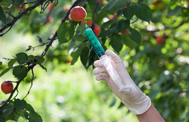 Agrotóxicos: não tem mesmo para onde correr?
