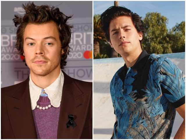 8 truques de estilo que Harry Styles, Cole Sprouse e outros famosos amam