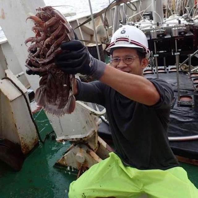 Cientistas descobrem ‘barata gigante’ que vive no fundo do mar