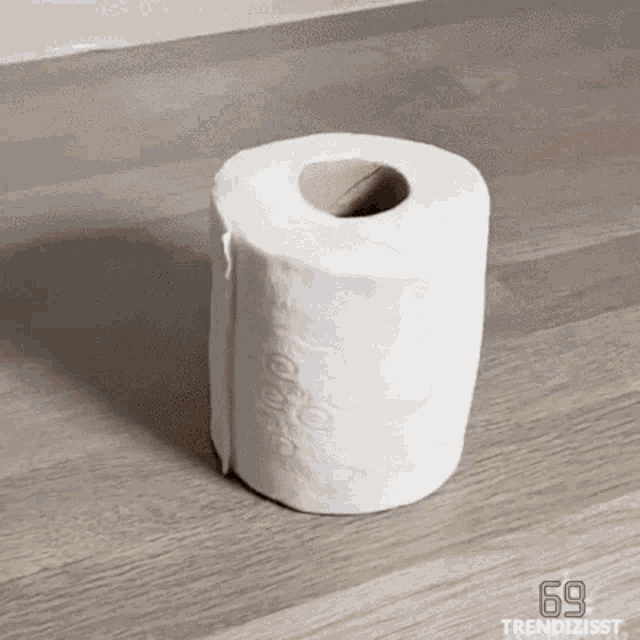 bolo de papel higienico