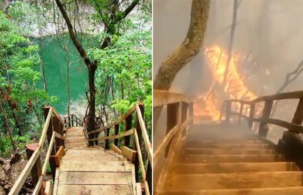 Esses antes e depois do Pantanal mostram os estragos dos incêndios na região