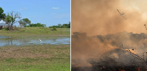Esses antes e depois do Pantanal mostram os estragos dos incêndios na região