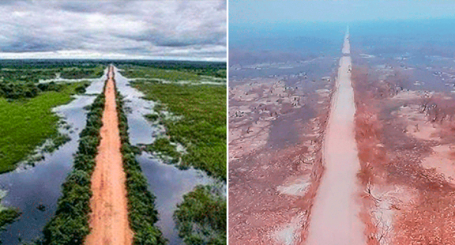Esses antes e depois do Pantanal mostram os estragos dos incêndios na região