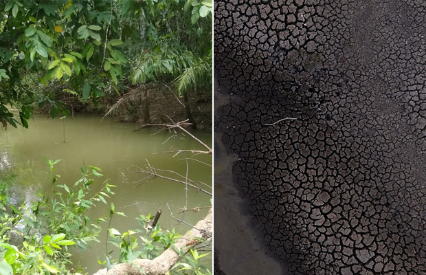 Esses antes e depois do Pantanal mostram os estragos dos incêndios na região