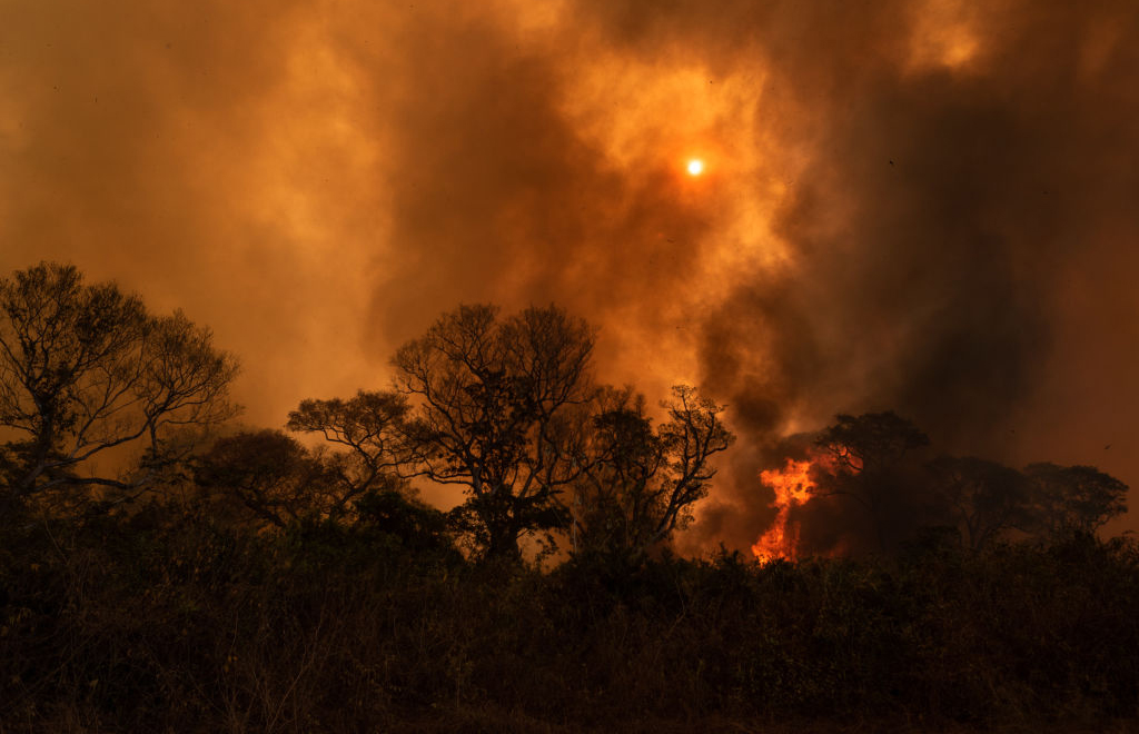 Incêndios no Pantanal não são naturais: “O governo está mentindo”