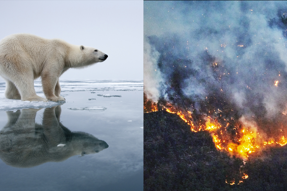 2020 deve ser o ano mais quente da Terra; setembro bateu todos os recordes