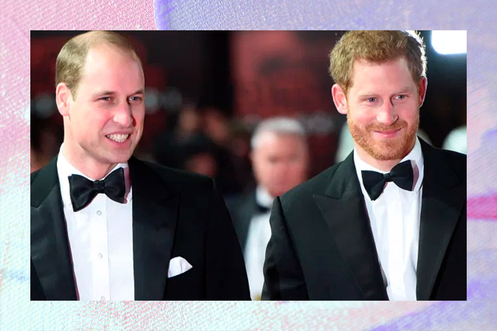 Historiador conta detalhes da briga explosiva de príncipes Harry e William