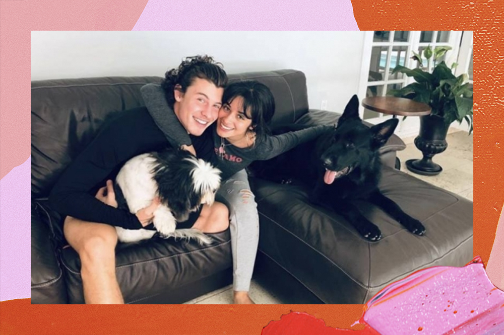 Camila Cabello e Shawn Mendes passam perrengue fofo em rolê com cachorros