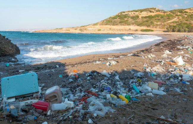 Imagem de uma praia cheia de lixo na areia; o mar é azul e o céu está aberto