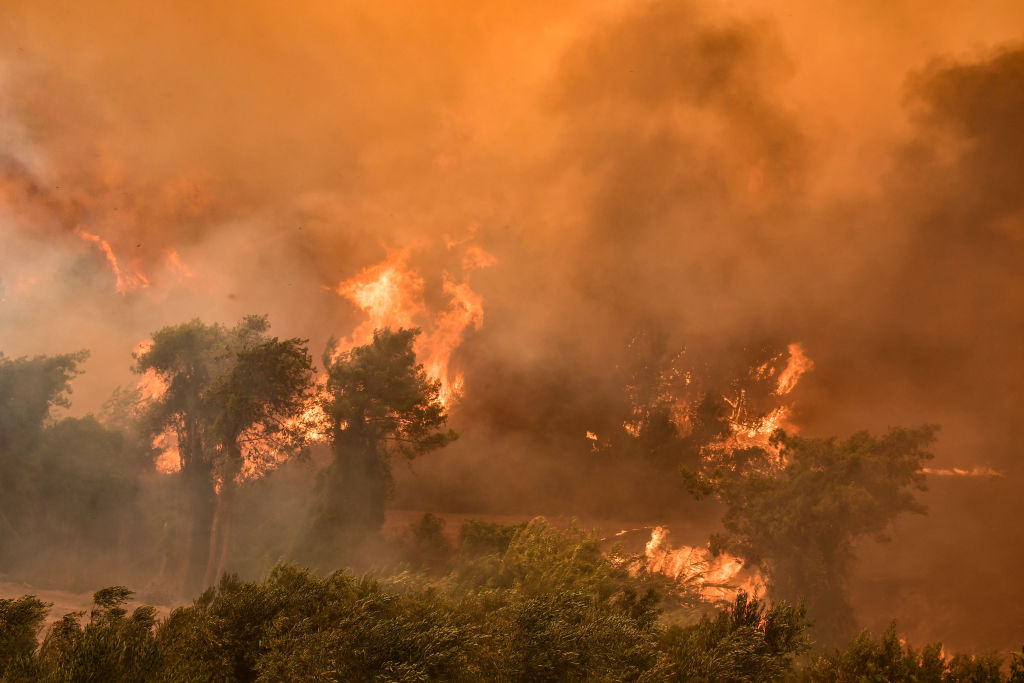 Incêndios na Turquia: entenda o que está ocorrendo no país e como ajudar