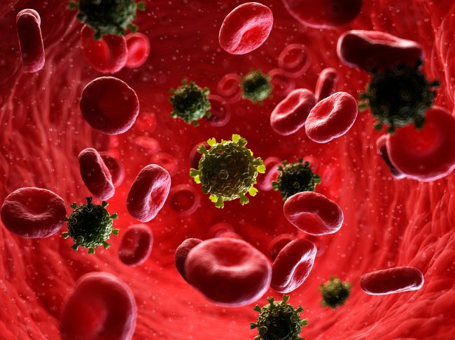 Dia Mundial de Combate à Aids: desmistificando 9 fake news sobre a doença Imagem de uma corrente sanguínea contaminada pelo vírus HIV