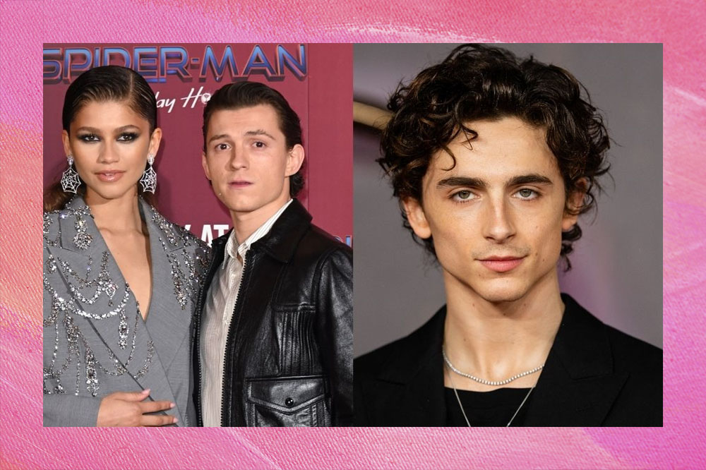 Elenco de Homem-Aranha sugere papel para Timothée Chalamet no filme