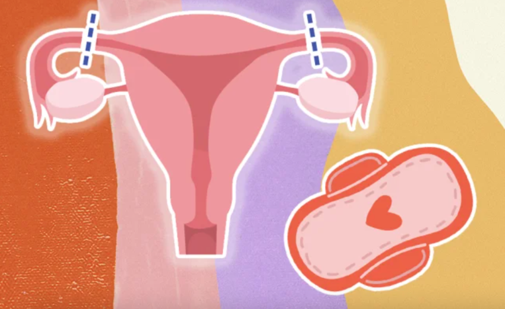 Direito à dignidade menstrual é uma vitória para todas as meninas