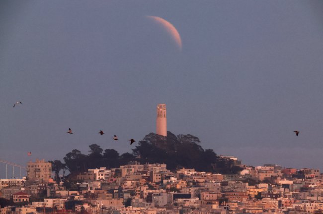 Lua de Sangue pelo mundo: veja fotos do eclipse lunar total desta segunda (16) Foto da Lua quase totalmente coberta pelo eclipse