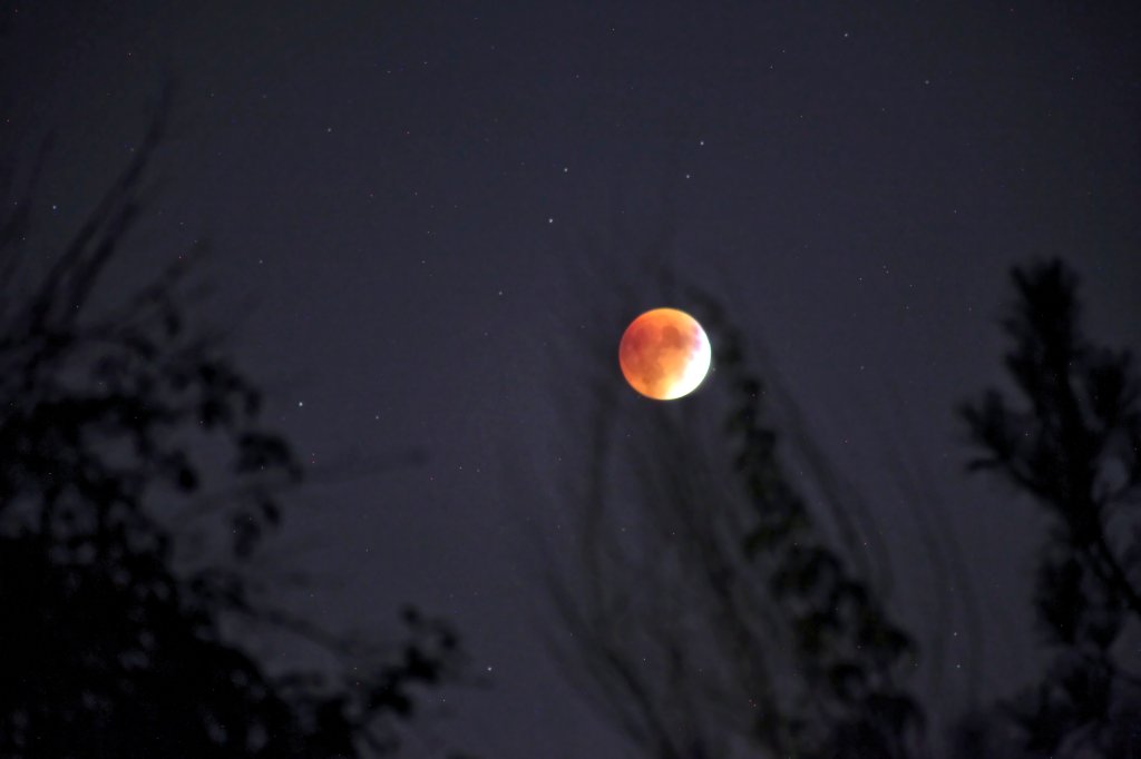 Lua de Sangue: como ver o eclipse lunar que ocorre neste domingo (15)