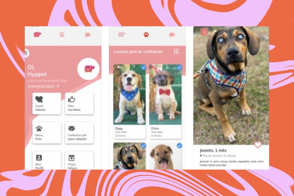 Tinder da adoção: conheça aplicativo que te ajuda a encontrar o pet ideal