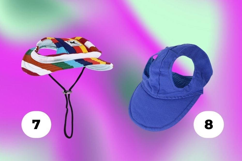 Cuidados com os pets no verão Imagem de dois chapéus para cachorro, um azul e outro colorido, em um fundo verde e roxo