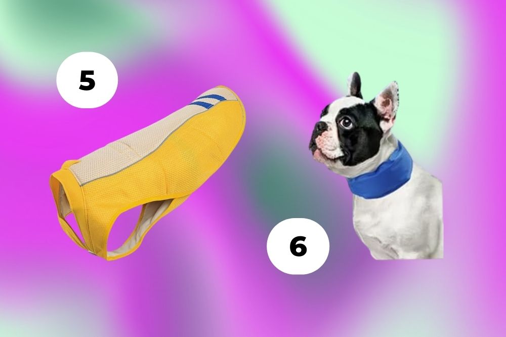 Cuidados com os pets no verão Imagem de um colete amarelo para cachorro e de um cachorro com um colar azul gelado, em um fundo roxo e verde
