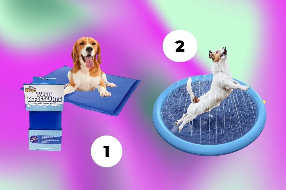 Cuidados com os pets no verão Imagem de um cachorro em cima de um tapete de gelo e outro cachorro em uma piscina pequena com água