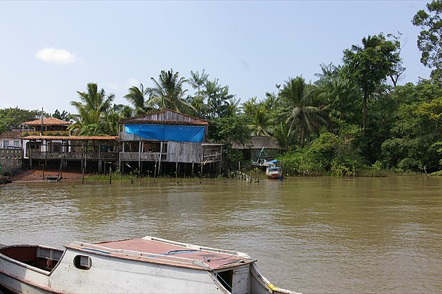 Por que devemos ter cuidado ao discutir sobre a Ilha do Marajó nas redes