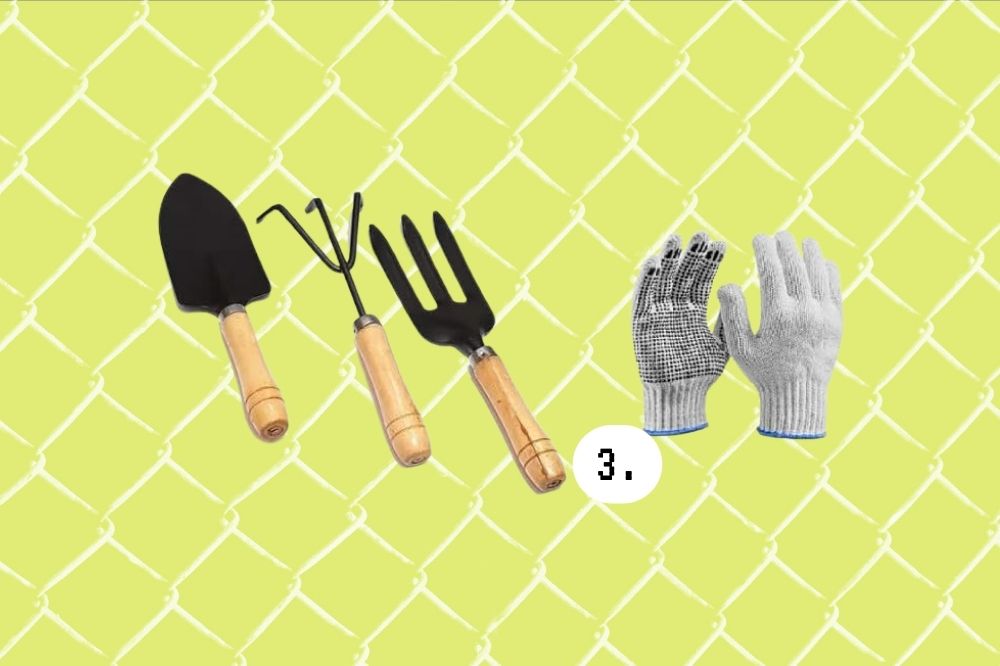 itens para jovens que querem começar na jardinagem itens para jovens que querem começar na jardinagem