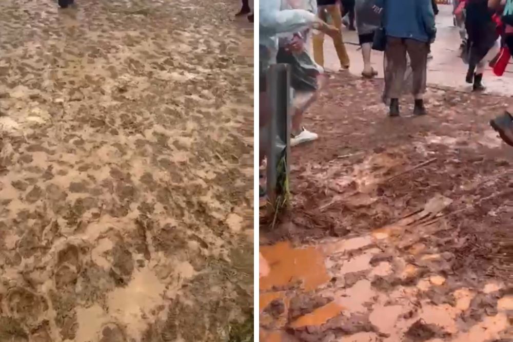 Ainda não superamos os tombos do ‘Lamapalooza’ que viralizaram nas redes