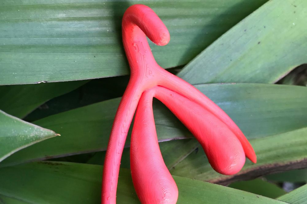 Clitóris 3D rosa