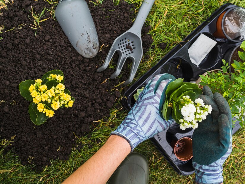 ‘Pais de planta’: jardinagem agora é hobby da nossa galera também