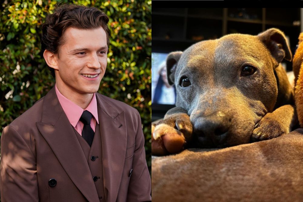 Tom Holland faz homenagem após morte de sua cachorra, Tessa