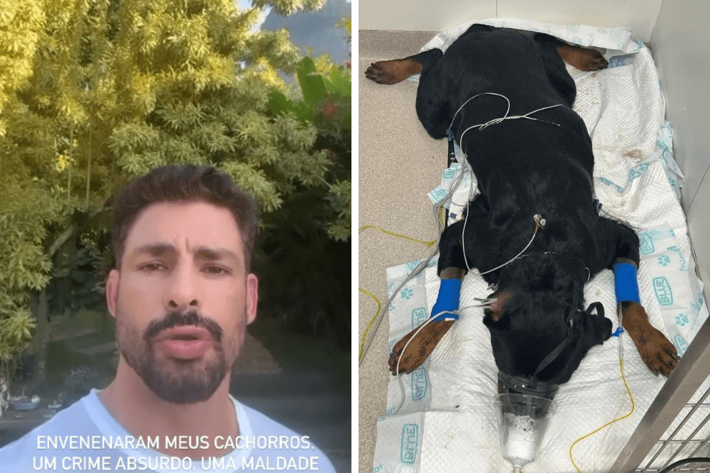 Cauã Reymond denuncia envenenamento de seus cães