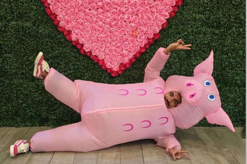 ‘Porquinho da Paulista’ já conquistou Pabllo, Billie e nós também