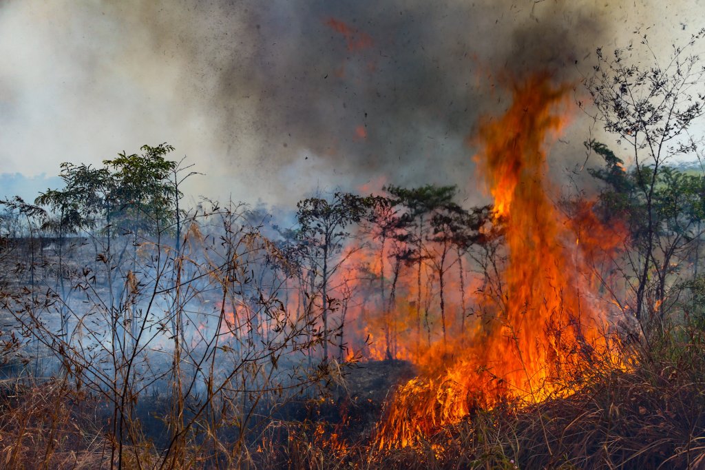 Fumaça tóxica de queimadas na Amazônia afeta qualidade do ar em 10 estados