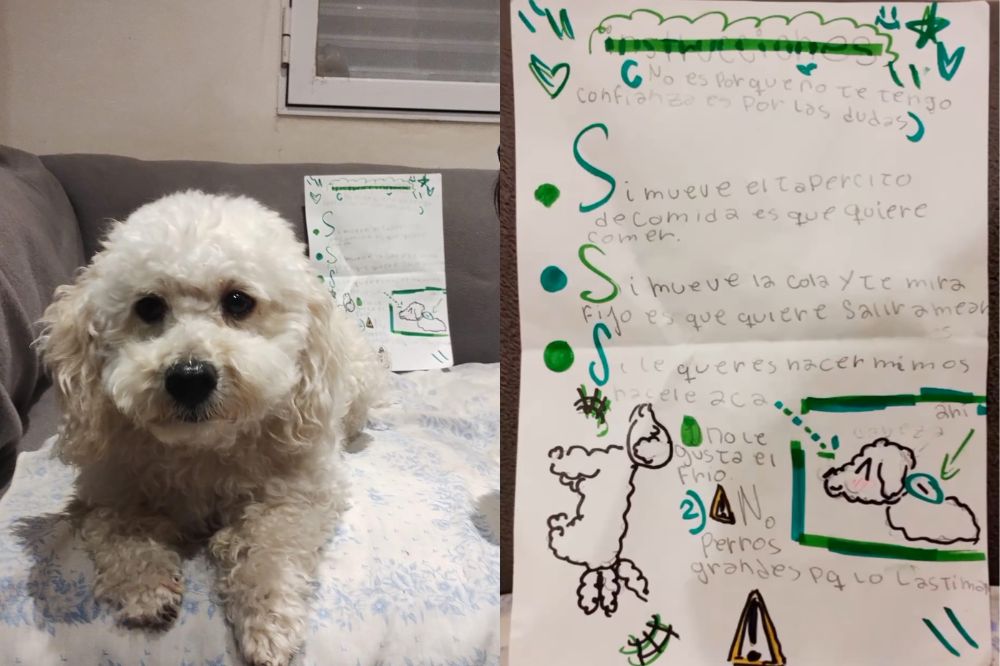 Menina escreve carta com instruções para creche cuidar do cachorro