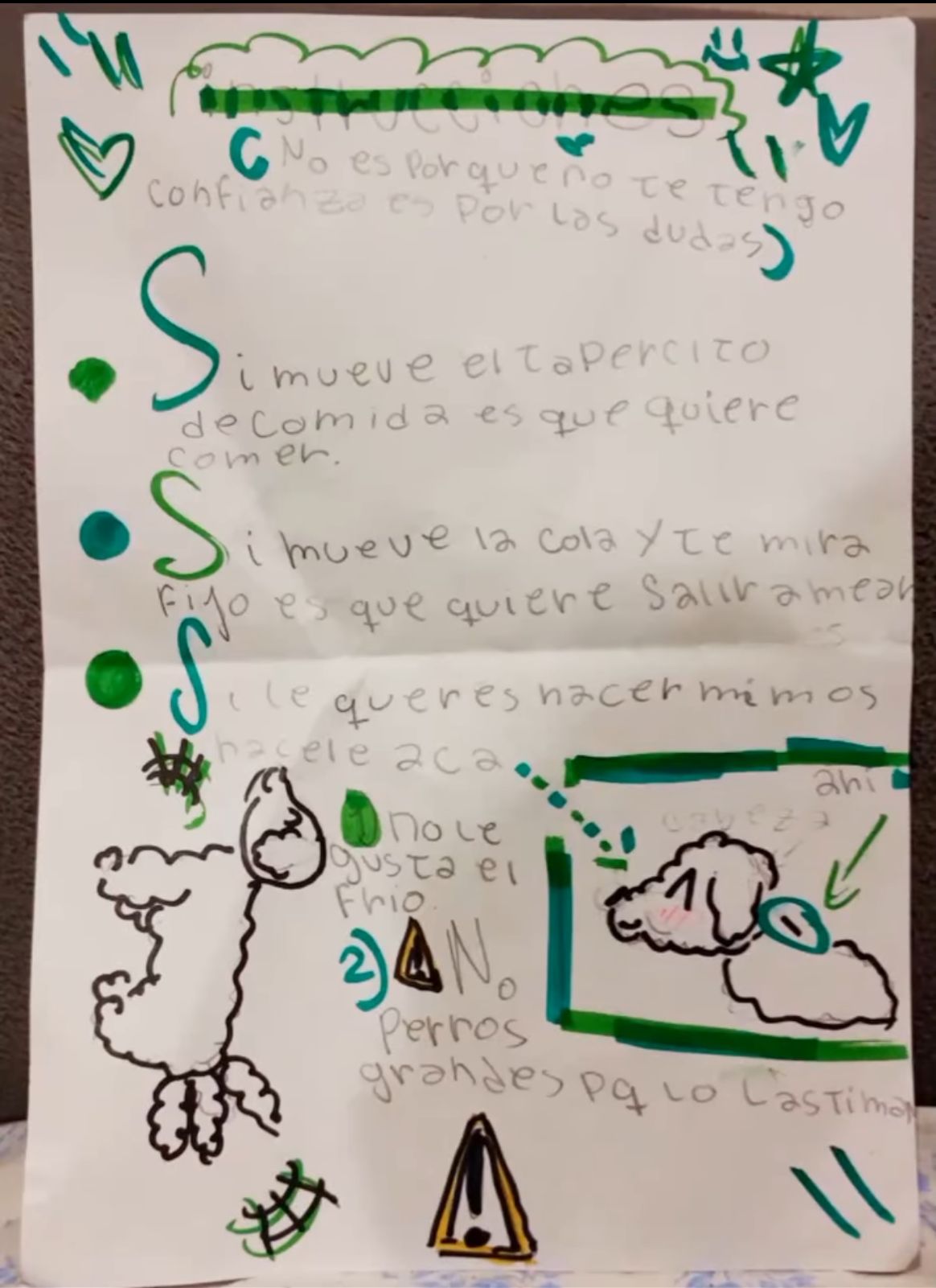 WhatsApp Image 2024-09-06 at 12.07.07 Menina escreve carta com instruções desenhadas para creche cuidar do cachorro.